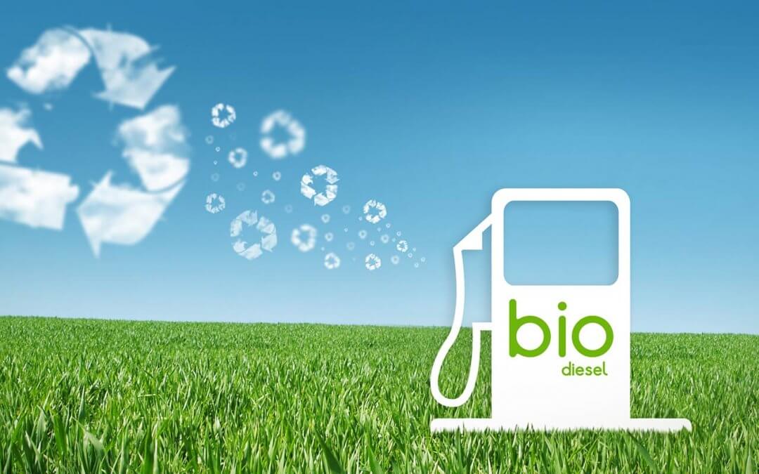 El Biodiesel: Revolución Del Siglo 21 Para El Desarrollo